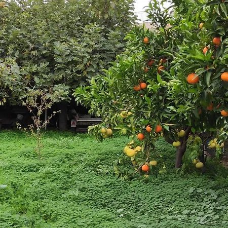بيت للعطل Garden House *