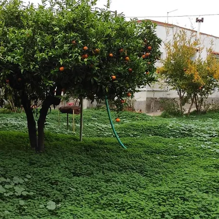 بيت للعطل Garden House