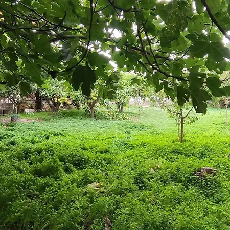 Garden House بيت للعطل أمارنثوس