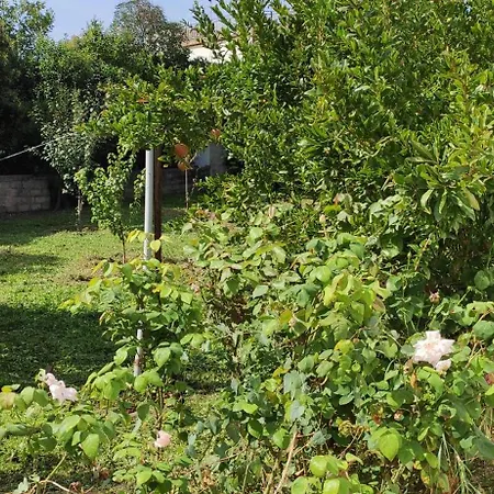 Garden House * أمارنثوس