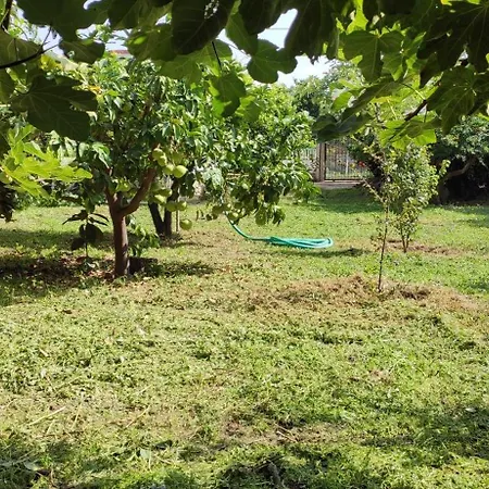 Garden House بيت للعطل