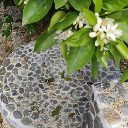 Garden House أمارنثوس