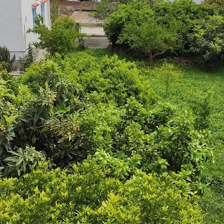 بيت للعطل Garden House